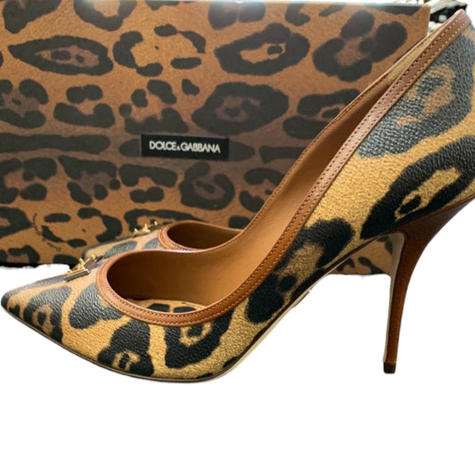 Dolce & Gabbana Leopard-Print Pointed-Toe Pumps